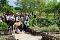 Pour en apprendre davantage... visite guidée d'un jardin médiéval !