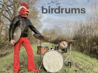 Electroplume "Birdrums Kids"