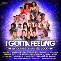 I Gotta Feeling - La Tournée des Années 2000 - Paris & Province à Pau