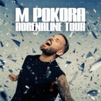 M.Pokora - Adrenaline Tour à NICE