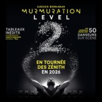 Murmuration Level 2 - Chorégraphié par Sadeck Berrabah - Tournée à Saint-Étienne