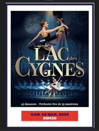 Le Lac des Cygnes à Marseille 2e