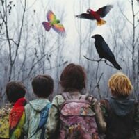 Après le Feu à Bayonne