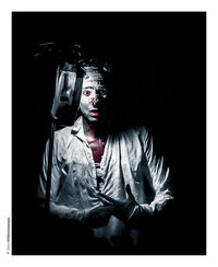 Le délirium du papillon à Cenon