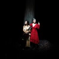 Birds On A Wire à Plaisir