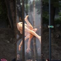 Alice Rende - Fora à Saint-Rémy-de-Provence