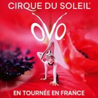 Cirque du Soleil - Ovo - Tournée à Marseille 9e