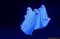 Pillowgraphies à Châteauroux