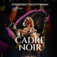 Le Cadre Noir De Saumur à Tours