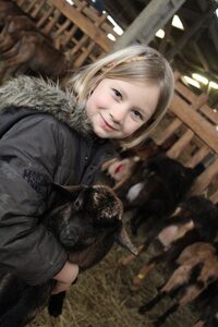 Expérience : fermier d’un jour à Granville