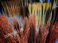 Visite d'une exploitation productrice d'osier "l'entretien" à Saché