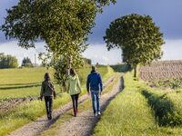 Randonnée à Orbigny