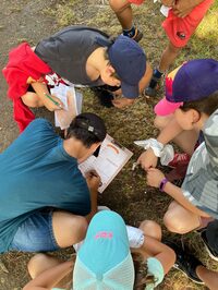 Stage enfants Multi activités - Vacances de la Toussaint à Combreux