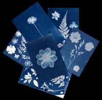 Samedi créatif "Cyanotype" à Bellegarde