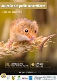 Journées des petits mammifères avec la maison de la Loire à Muides-sur-Loire