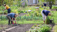 Atelier "Au jardin" à Chartres