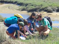 Naturaliste en herbe à Arès