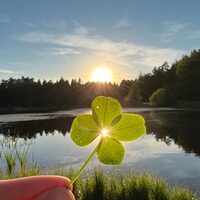 Atelier décor sur porcelaine - Amulette chargée en énergie à Limoges