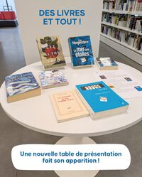 Des livres et tout à Aire-sur-l'Adour