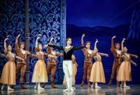 Le Lac des Cygnes à Limoges