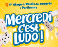 Mercredi c'est ludo à Parthenay
