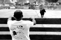 Encierro ttiki et course de vaches dans les rues. à Hasparren