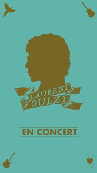 Concert de Laurent Voulzy à Bayonne