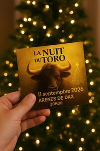 Nuit du toro à Dax