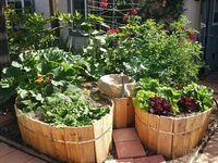 Jardinons ! Atelier "Construire un "keyhole"" à Rouen