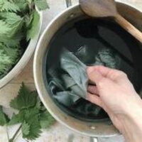 Jardinons ! Initiation à la teinture végétale à Saint-Étienne-du-Rouvray