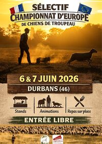 Sélectif, championnat d'Europe de chiens de troupeau, à Durbans à Durbans