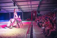 Spectacle équestre "Iselda" à Radonvilliers