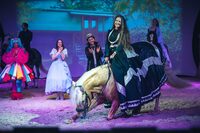 Spectacle équestre "Iselda" à Radonvilliers
