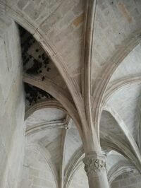 Visite à la découverte des chauves-souris de la chartreuse Saint-Sauveur à Villefranche-de-Rouergue