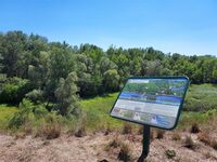 Visite guidée la biodiversité de la Réserve naturelle nationale de l’île de Rhin à Rhinau