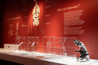 Zoom sur la collection avec une médiatrice à Marcy-l'Étoile