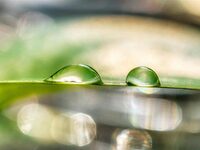 Salon : Les artisans du bien-être à Reichshoffen