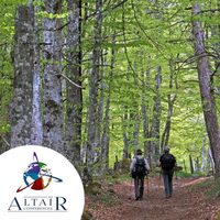 Conférence Ataïr : Dans les forêts à Reichshoffen