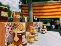 VISITE GUIDEE "SOREDE - BALADE INSOLITE" à Sorède