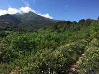 RANDO-VISITE "SOREDE, 2000 ANS D'HISTOIRE" à Sorède