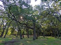 Éco-balade : Haies et bois à Entressen à Istres