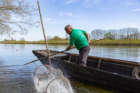 Conférence : Pêcher en Loire à Cosne-Cours-sur-Loire