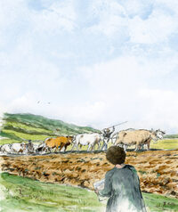 Conférence : Rosa Bonheur en Nivernais à Cosne-Cours-sur-Loire