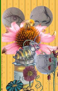 Visite découverte du jardin mellifere à Beauvoir-en-Royans