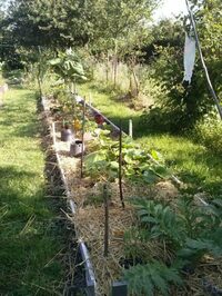 Rendez vous aux jardins à Nortkerque
