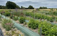 Visite de la ferme florale "Le Rire des Fleurs" à La Regrippière