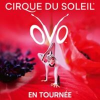 Cirque du Soleil - Ovo - Tournée à Orléans