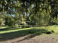 Visite découverte de nos jardins à Charras