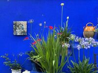 Réflexion sensible sur la notion de regard dans un espace clos à Sorges-et-Ligueux-en-Périgord