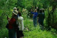 Visites guidées du jardin botanique de la faculté de santé d'Angers à Angers